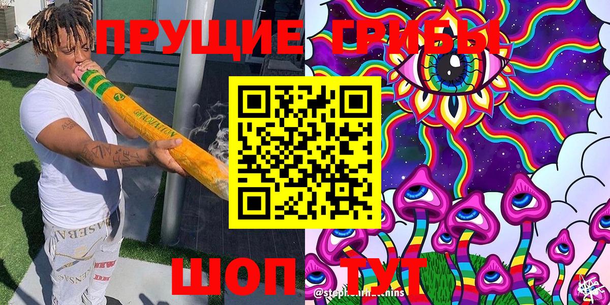 Галлюциногенные грибы Cubensis  Галлюциногенные грибы прущие грибы  Самара  Вход с VPN 