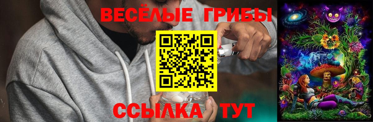 Псилоцибиновые грибы мухоморы Самара